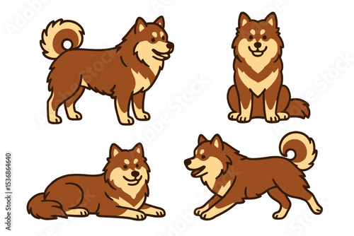 Finnish Lapphund in various poses on a transparent background 
