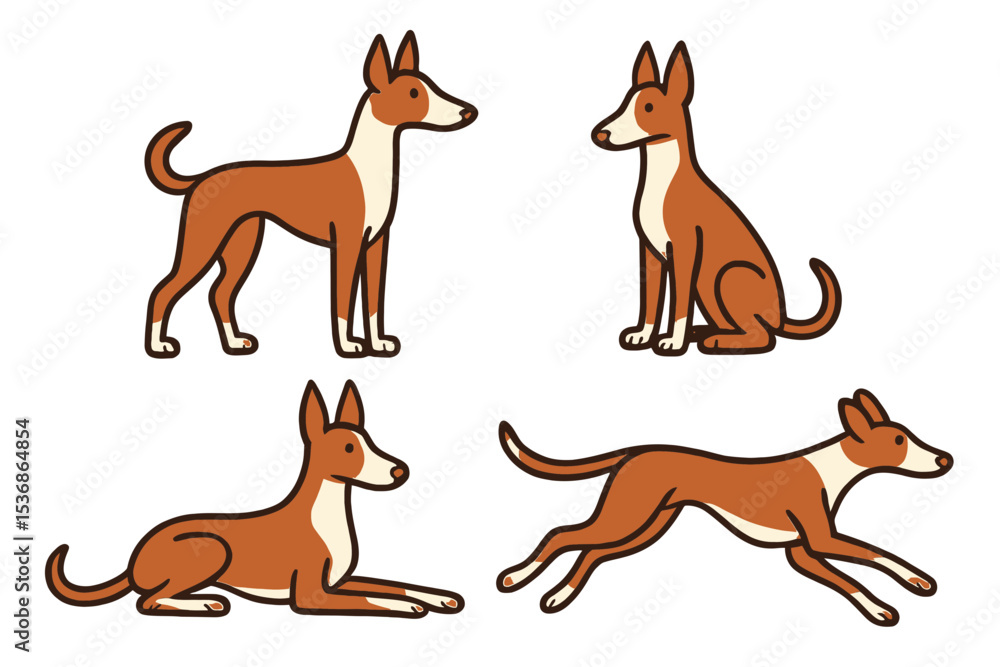 Fototapeta premium Ibizan Hound in different poses on a transparent background