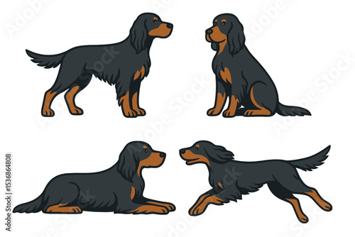 Gordon Setter in various poses on a transparent background