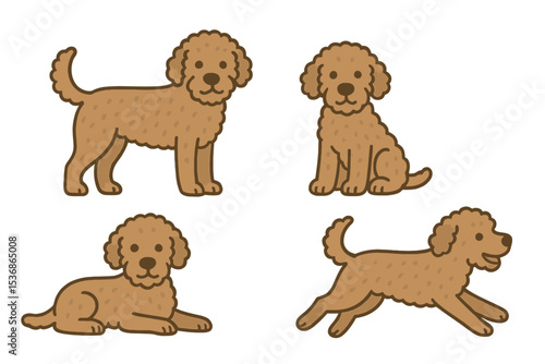 Lagotto Romagnolo in various playful poses on a transparent background