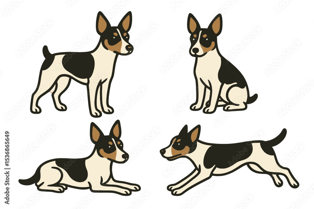 Naklejka premium Rat Terrier in different poses on transparent background