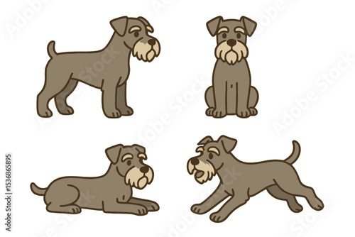 Standard Schnauzer in different poses on transparent background