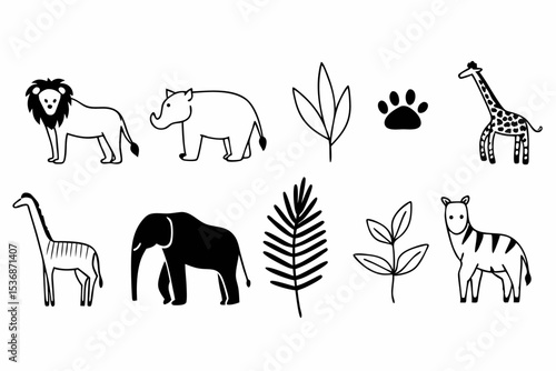 Photography wild animals collection