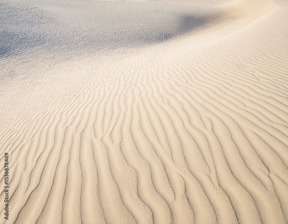 Fototapeta premium white sand texture sandy beach as background