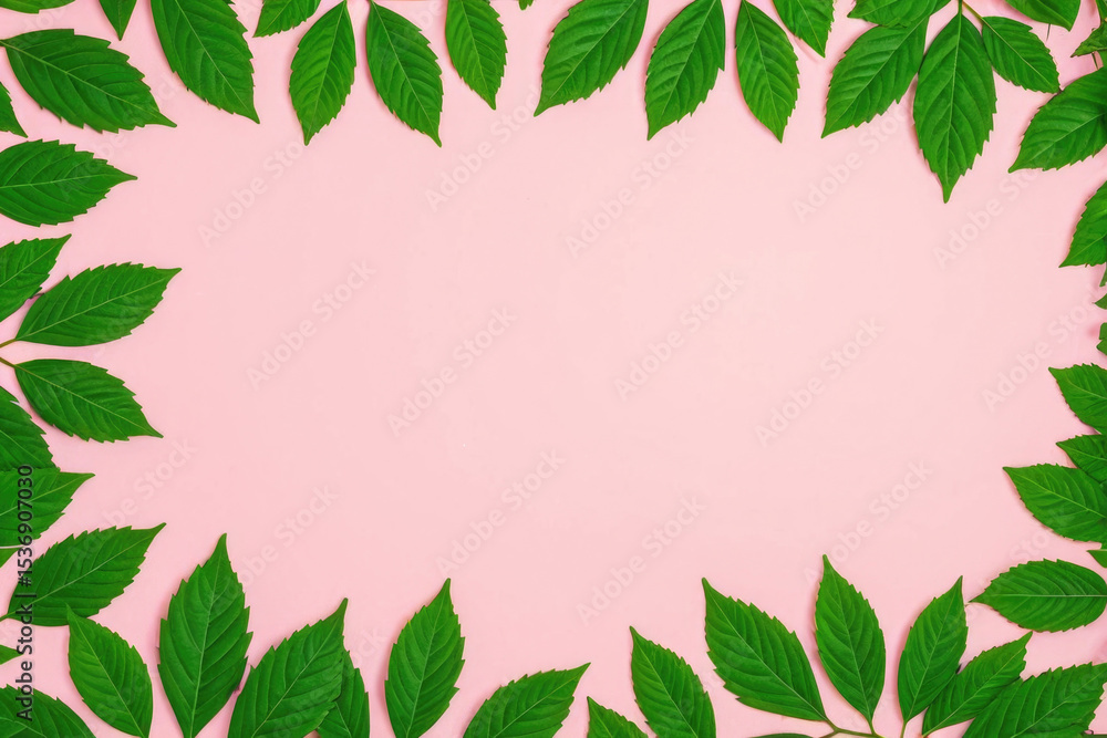 Naklejka premium A decorative frame made from intertwined green leaves against a pink background