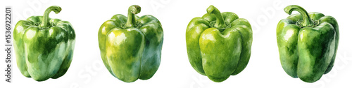 Watercolor green pepper vegetable PNG set Transparent background