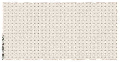 Torn dotted paper vector background. Beige notebook sheet with rough edges and subtle grid dots, perfect for stationery, planner, and bullet journal designs. Realistic texture for creative projects