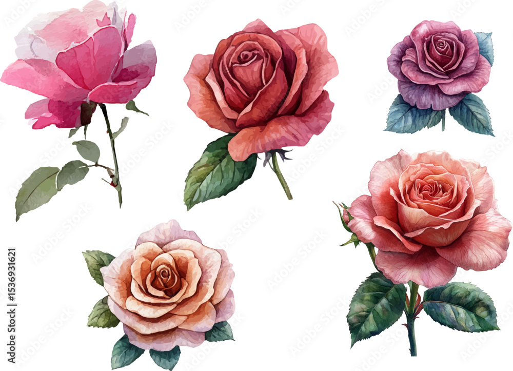 Fototapeta premium bouquet of roses