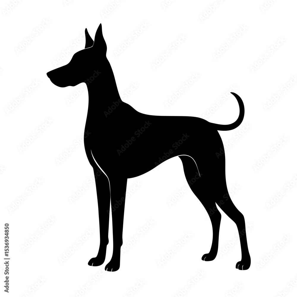 Fototapeta premium Black silhouette of a cute Great Dane on white background vector illustration