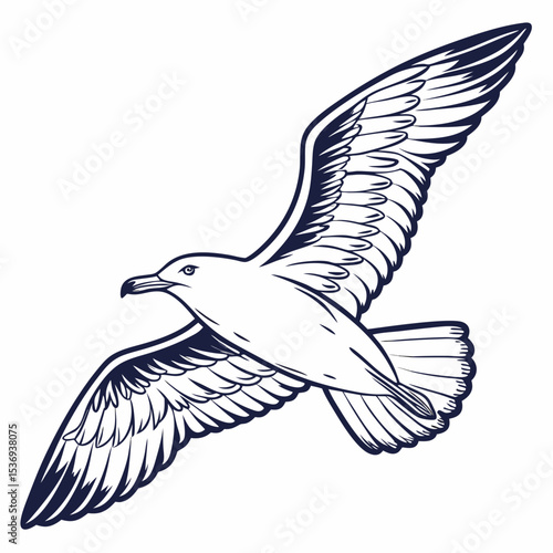 Seagull Herring Gull Continuous Line Drawing with Editable Stroke and Color Elements