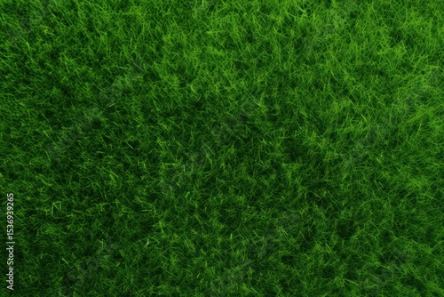 Wallpaper Mural A green lawn backgrounds outdoors nature. Torontodigital.ca