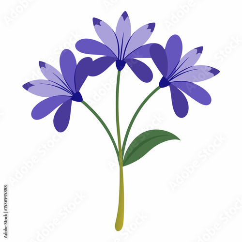 Agapanthus Outline: Floral

