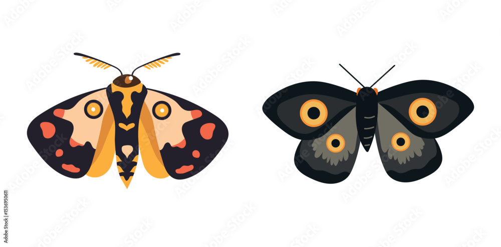 Obraz premium Black moth. Flat vector clipart, illustration with isolated background.