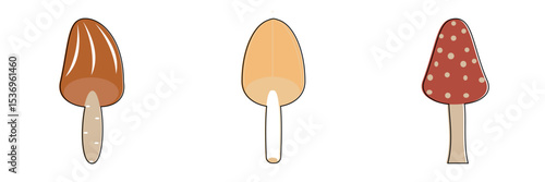 Vector illustration of three cartoon mushrooms isolated on white.