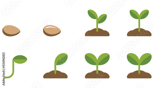 A vibrant vector illustration of diverse green plants, leaves, and trees symbolizing nature's growth, life, and the eco-friendly environment