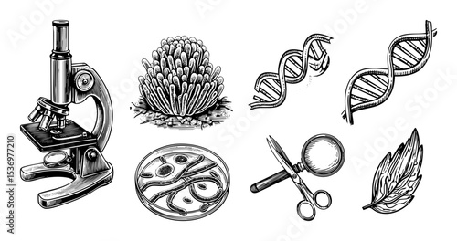 Vector Detailed scientific illustrations depict a microscope DNA cells and botanical elements.