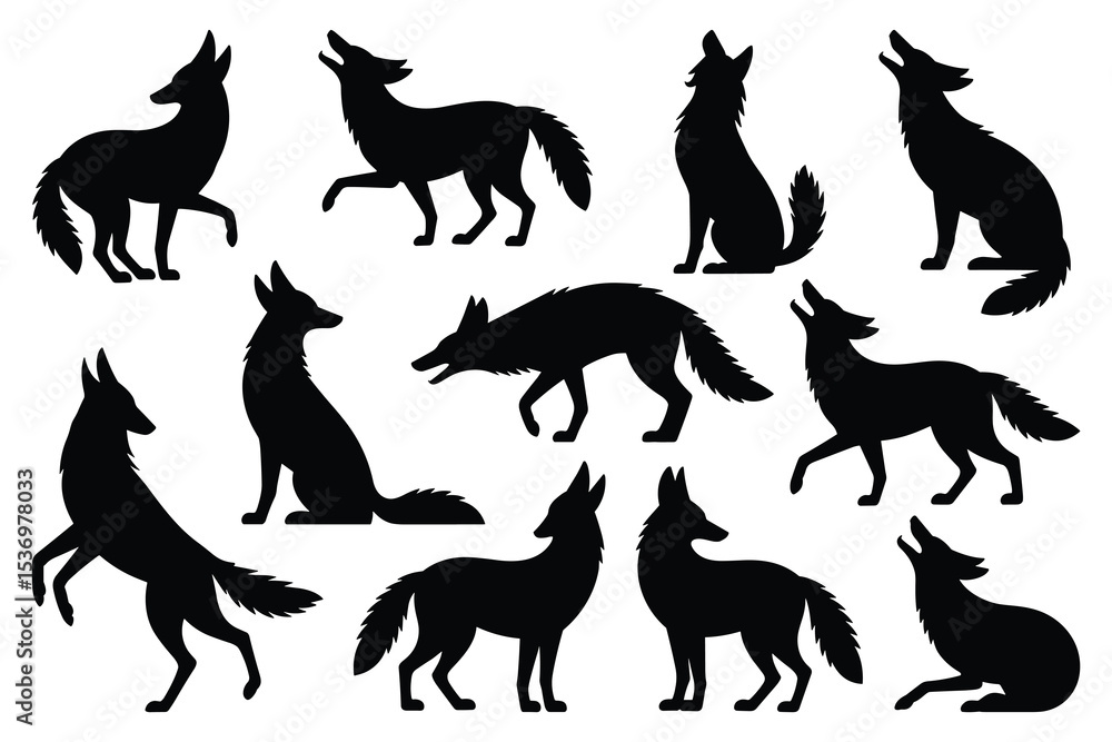 Fototapeta premium Set of Coyote silhouettes in various poses. isolated vector on white background.