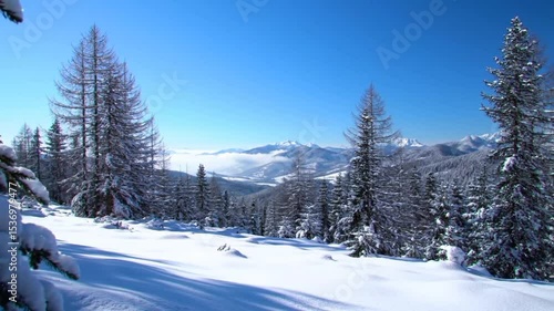 Wallpaper Mural winter landscape in the mountains Torontodigital.ca