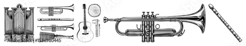 Vector Collection of vintage musical instruments illustrated in black and white.