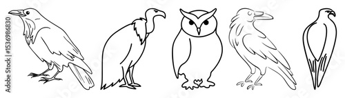 Vector Diverse raptor birds set featuring a crow vulture owl hawk and .