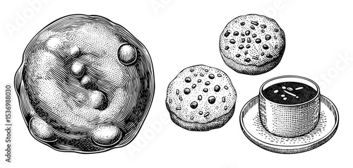 Vector Chocolate chip cookies and a cup of coffee are presented in a vintage-style .
