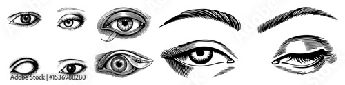 Vector Collection of detailed expressive human eye illustrations.