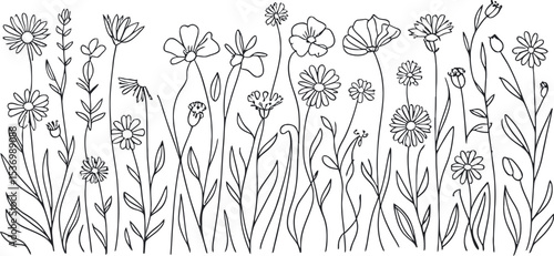 single one line wildflowers silhouette on white background