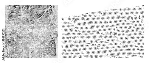 Vector Abstract vector lines and textured grain .
