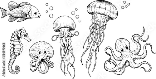 Vector set with Sea Animals. Hand drawn sketch of Seahorse, Jellyfish and Octopus. Illustration with underwater sealife painted by black inks in line art style. Engraving of medusa for icon or logo.