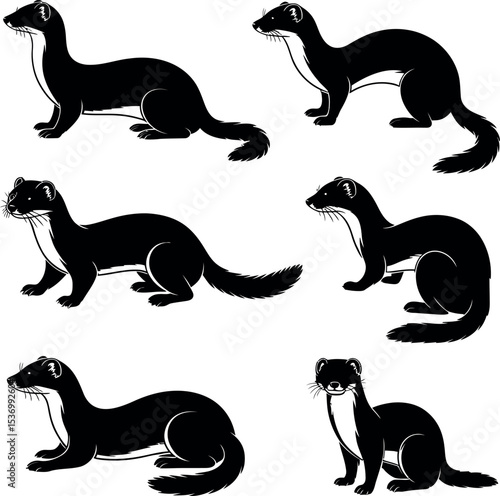 weasel silhouette on white background