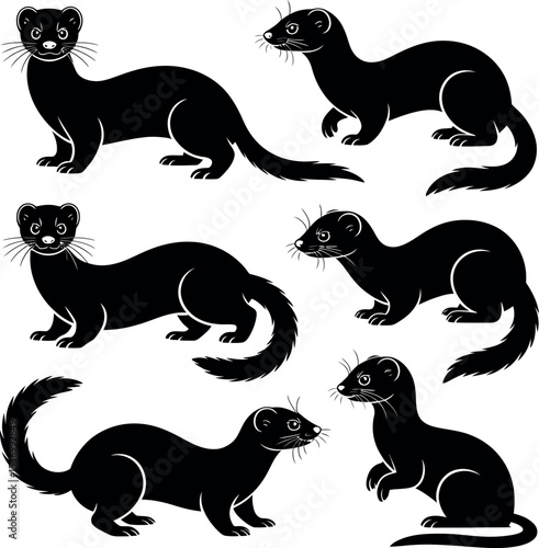 weasel silhouette on white background
