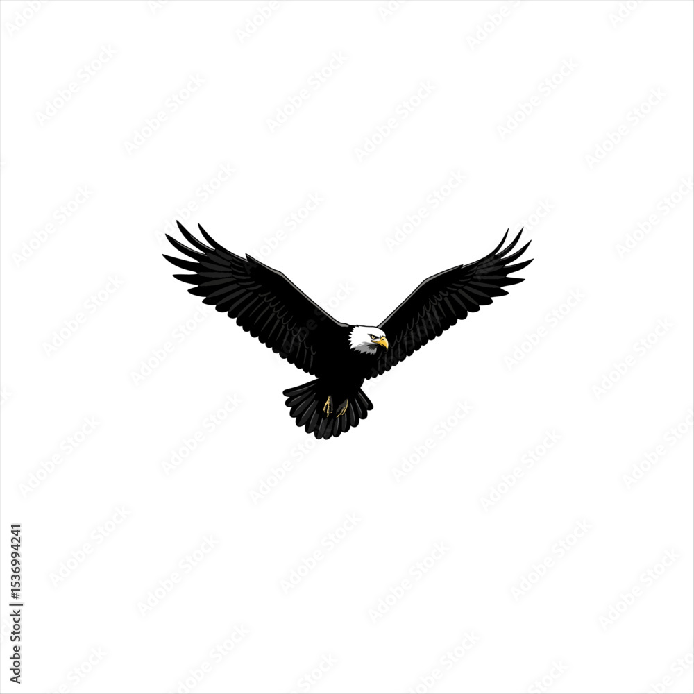 Obraz premium american bald eagle vector 