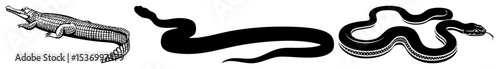 Vector Stylized avian and serpentine creatures form a dynamic vector .