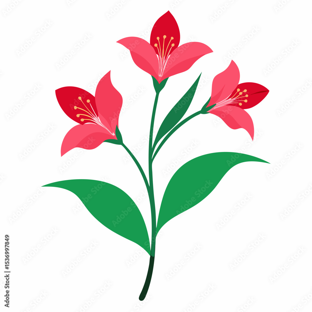 Alstroemeria Outline: Lily
Alstroemeria Outline: Lily