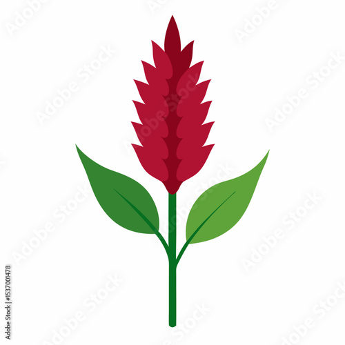 Amaranth Outline Icon: Vector Plant

