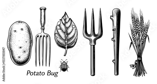 Vector Vintage farming implements and produce features a potato tools and wheat.