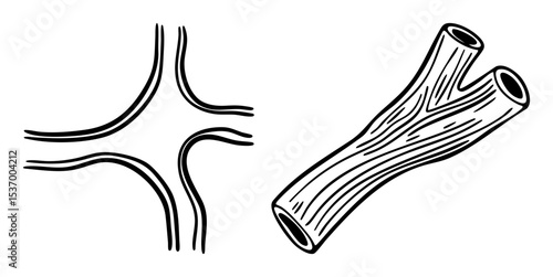 Vector Branching tubular structures with linear details.