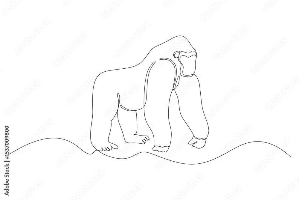 Obraz premium Gorilla Line art vector illustration. Continuous one single minimal line drawing Gorilla