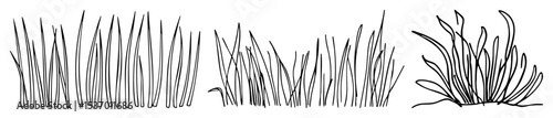 Vector Detailed of grassy blades in varying arrangements.