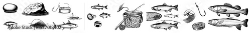 Vector Detailed illustrations of various fish fishing gear and marine life elements.