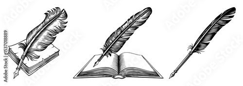 Vector Vintage quill pens rest upon and beside an open book .