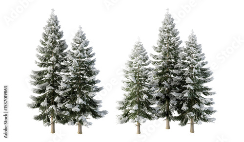 pine tree isolated on white background. Christmas tree isolated on white
