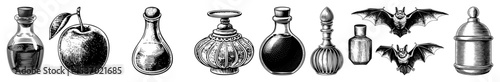 Vector Assortment of vintage apothecary bottles and flying bats .