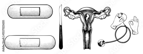 Vector Medical depicting a uterus surgical scalpel intrauterine devices and a stethoscope.