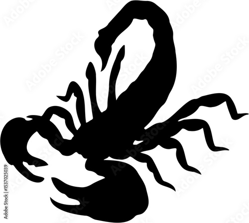 scorpion vector illustration, isolated on white