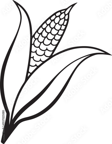 Ear of corn illustration isolated on white background