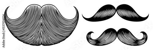 Vector Vintage facial hair styles including a full beard and two distinct mustache designs are presented as illustrations.