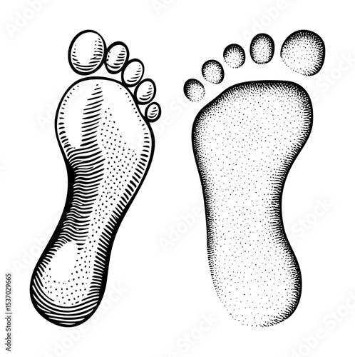 Vector Detailed footprints illustrate human locomotion and tracking.
