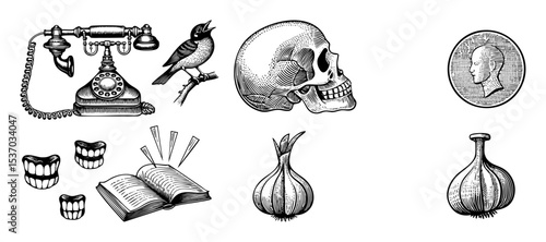 Vector Vintage collection featuring a telephone skull bird dentures book and apothecary bottles.