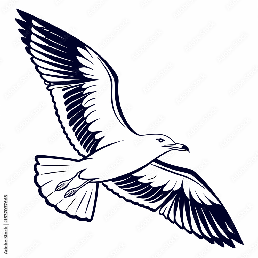 Obraz premium Professional seagull illustration isolated on white background, clean cutout, ready for design projects